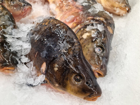 Na sprzedaż karp w lodzie na ladzie sklepowej. Ryba na święta.