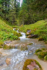 alpin river in the forest (austria)
