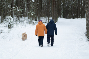 Fototapeta na wymiar An elderly couple, a woman and a man walk with a dog in a winter forest.