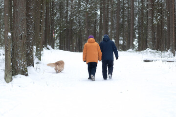 Fototapeta na wymiar An elderly couple, a woman and a man walk with a dog in a winter forest.