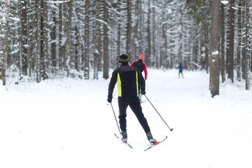 Fototapeta na wymiar Cross Country skill. Skiing in the winter forest.