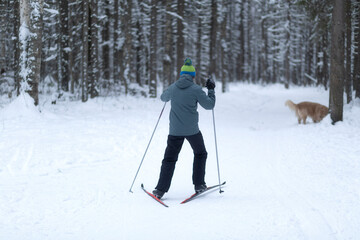 Cross Country skill. Skiing in the winter forest.