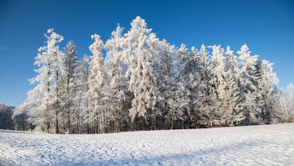 Winterlandschaft