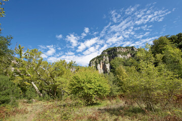 Fototapeta na wymiar Griechenland - Zagori - Voidomatis Schlucht - Wanderweg zur Klidonia Brücke