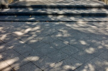 sidewalk and shadows