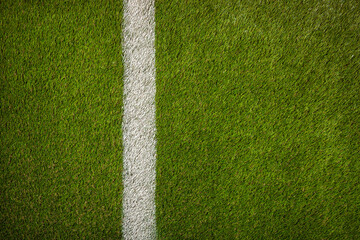 Grass athletic field with white stripe viewed from above