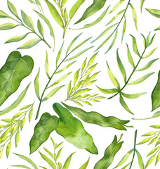 Watercolor Pink Peonies Greenery For Wedding Invitations Spring Flowers Inflorescences