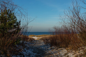 A view of the dunes in Sobieszewo on the Gulf of Gdansk