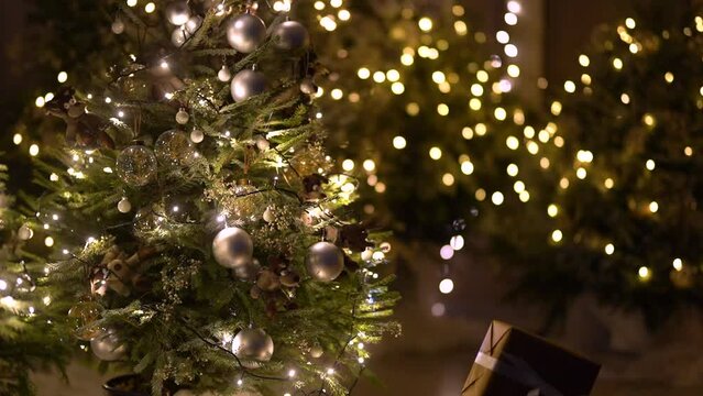 Christmas tree decorations in living trees lamp lights
