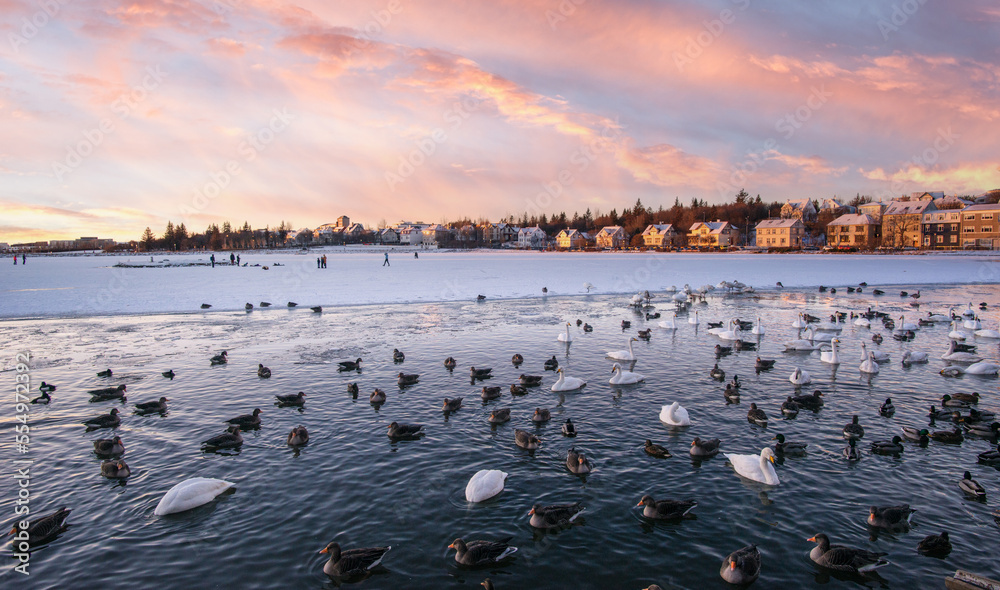 Canvas Prints reykjavik