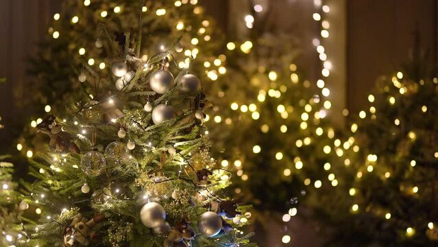 Christmas tree decorations in living trees lamp lights