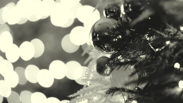 Christmas tree decorations in living trees lamp lights