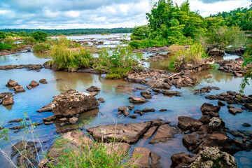 Fototapeta na wymiar nature, river and plants around Iguazu Falls