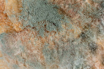 Mold on bread, macro, top view. The danger of mold, stale products.