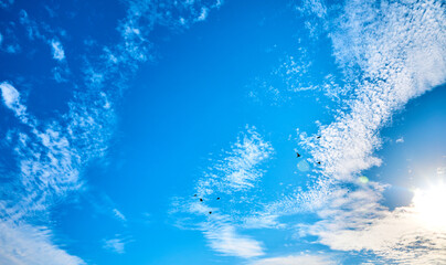 Fototapeta na wymiar clear summer blue sky with a beautiful cloud