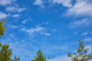 Obraz premium clear summer blue sky with a beautiful cloud