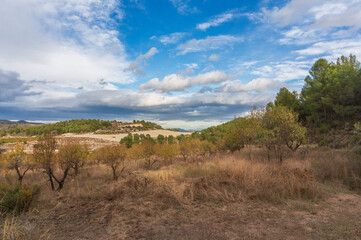 landscape with sky