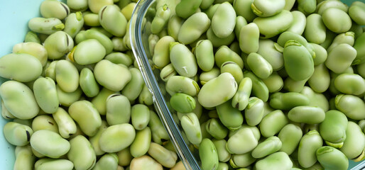 fresh broad beans, beans, benefits of broad beans for Parkinson's disease,
