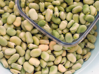 fresh broad bean, broad bean seeds, table-edible fresh broad bean,