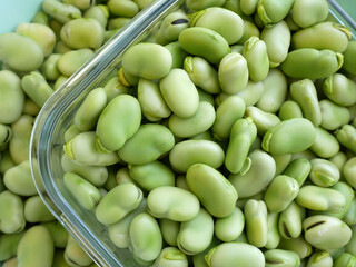 a large amount of fresh broad beans, broad beans, in a bowl,