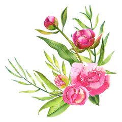 Watercolor Pink Peonies Greenery For Wedding Invitations Spring Flowers Inflorescences