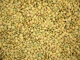 protein source, natural green dried lentils, useful dried legumes,