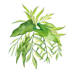 Watercolor Pink Peonies Greenery For Wedding Invitations Spring Flowers Inflorescences