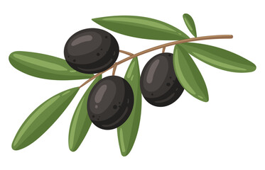 Obraz na płótnie Canvas Cartoon black olives branch. Olive tree with leaves, Italian cuisine tasty appetizer and seasoning, Greek olive olives branch flat vector illustration isolated on white background