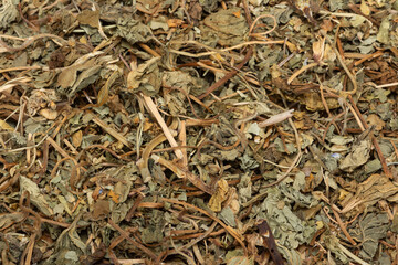 Dried malva sylvestris