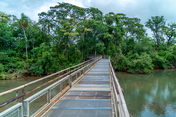 Fototapeta premium tourist lookout bridge at iguazu falls in argentina
