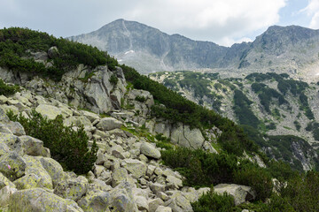 Pirin Mountain near Banderitsa River, Bulgaria