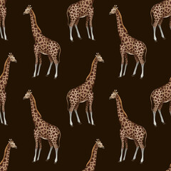Seamless pattern with giraffe. Vector.