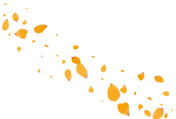 Lemon Floral Spring Vector White Background.