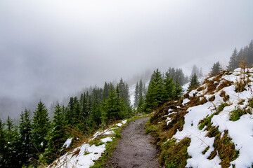 snowy hiking path in the alps in autumn during a cloudy day (Vorarlberg, Austria)