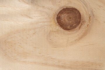 wood background with round grain and texture