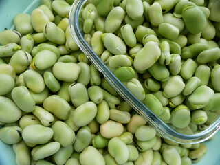 a large amount of fresh broad beans, broad beans, in a bowl,