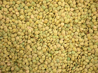 protein source, natural green dried lentils, useful dried legumes,