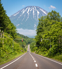 Naklejka premium Road leading to Mt. Yotei