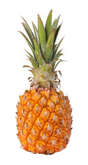 Pineapple on transparent background. png file