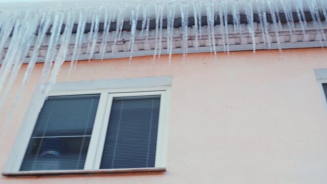 Large icicles hang from the overhang of the roof of the building. Falling ice- winter hazard for passersby