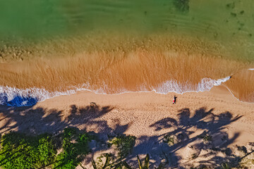 Woman lying on the Aerial drone shot of beautiful sandy beach with tall palms