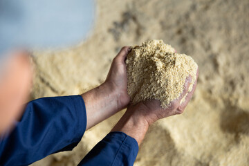 Hands of farmer holding handful of soy flour, animal feed.