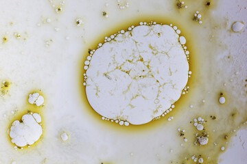 Reaction of liquid bubbles