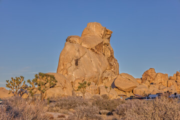 Fototapeta na wymiar Joshua Tree National Park Rock Formation in Early Morning Light