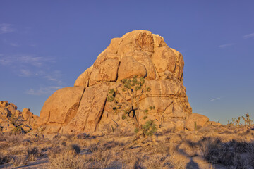 Fototapeta premium Joshua Tree National Park Rock Formation in Early Morning Light