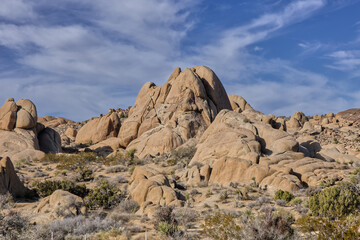 Fototapeta na wymiar Joshua Tree National Park Rock Formations During the Day