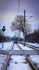 tramwaj  © Ignacy
