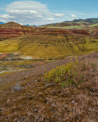 Painted hills near John Day Fossil Beds