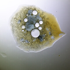 Reaction of liquid bubbles