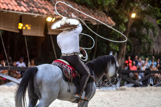 Horseman also known as Mexican charro in a magnificent exhibition of movements with the sliding lasso on a spectacular Aztec horse that handles the lasso in an incredible way at Xcaret Park in Mexico.